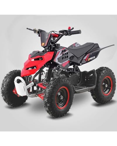 T-MOTO - Mini quad a motore per bambini RAPTOR Ruota
