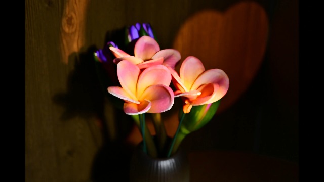 Amazon.com: FaFaVila 20pcs Pink Orange Color PU Real Touch