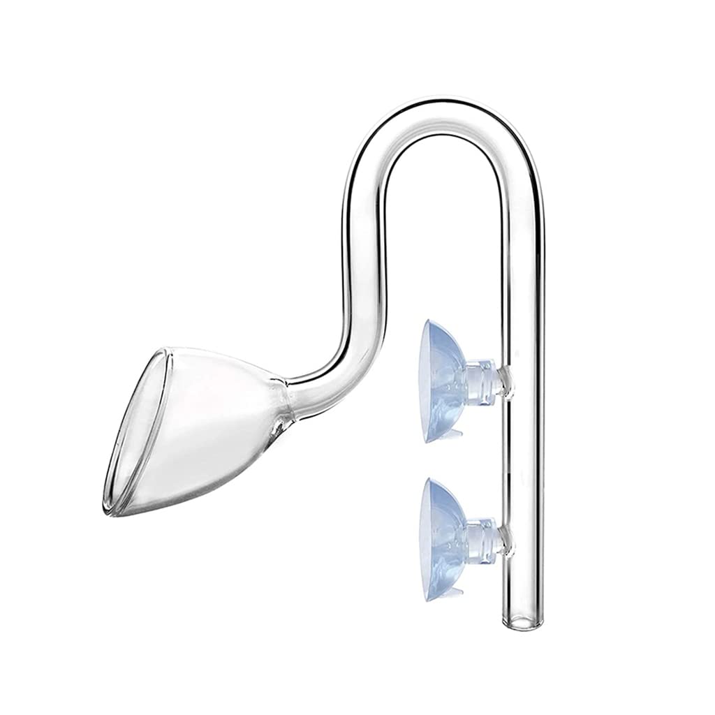 NEWFT Glass Outflow for Aquarium Planted for Fish for Deliver Clean Water from Filter to Aquarium 10mm 13m