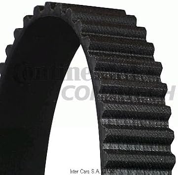 Contitech CT1123 V-ribbed belt.