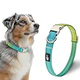 Who LED the dogs out?