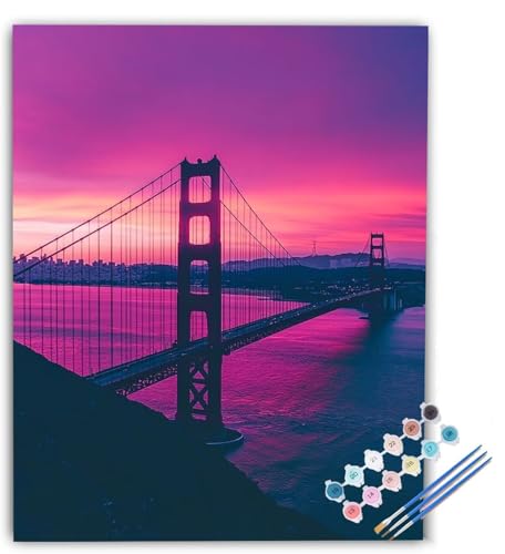 G  Paint by Numbers iyCgoCio[, DIY hG |pi c[Lbg l q S lC G, MƃANG̋ K ItBX Ƃ̕ǂ̑ ւ̑蕨 40 x 50 cm t