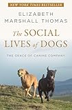 The Social Lives of Dogs: The Grace of Canine Company