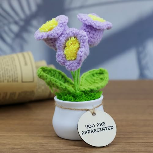 MSEHKM Encouragement Crochet Flowers with Positive Wooden Affirmations