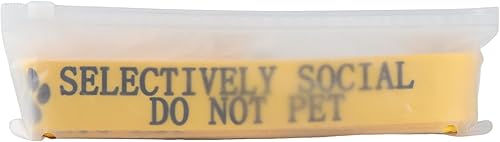 Miniatura 6 de Divertida correa para perro selectivamente social, no mascotas, correa para perros para caminar, entrenamiento, correas para perros, dueño de