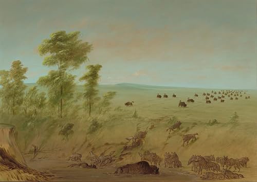 Tableaux Graffiti Art Mural Loups George Catlin, Poster Impression Moderne 60x90cm