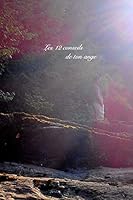 Les 12 conseils de ton ange 1320695981 Book Cover