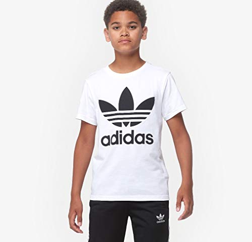 adidas Originals Men's Adicolor Classics Trefoil T-Shirt2