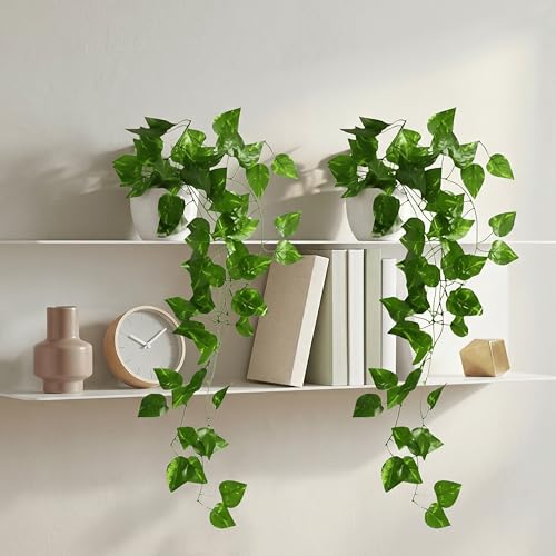 Image of Dekorly Artificial Hanging Garland with Pot - 100cm Rose Vine, 10cm Decorative Pot for Table, Shelf & Wall Decor (2, Vines-01)