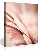 Hecho en Alemania Gallery of Innovative Art - RETRO PINK PETALS FLOWER 80x80cm #e4681 - Impresión Giclee en lienzo, foto lienzo Wall Art- Fotos en lienzo montadas sobre bastidor – Im?genes en lienzo XXL en alta resolución