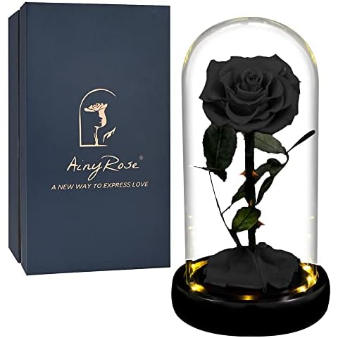 AINYROSE Gift for Women Forever Preserved Rose in Glass Dome with Light, Women Gifts Eternal Beauty Rose Romantic Gift for Her,Mothers Day,Valentines Day,Birthday,Christmas,Anniversary (Black) Cover