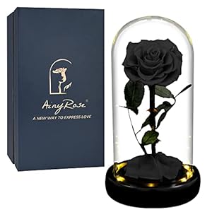 AINYROSE Gift for Women Forever Preserved Rose in Glass Dome with Light, Women Gifts Eternal Beauty Rose Romantic Gift for Her,Mothers Day,Valentines Day,Birthday,Christmas,Anniversary (Black)