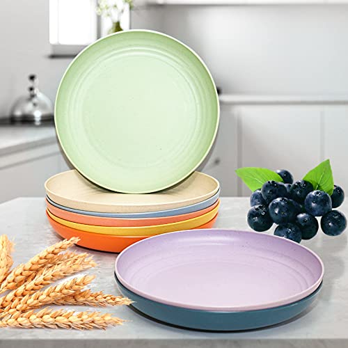 8 Pack 10 Inches Plastic Plates Reusable, Unbreakable Eco-Friendly Lightweight Wheat Straw Plates, Salad Plates, Camping Plates,Kids Plates, Dishwasher & Microwave Safe, They Are Easy To Clean… #TOP5