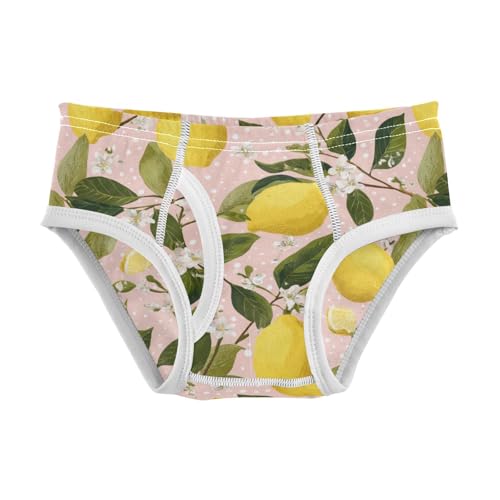Wusikd Lemons Branches Boys' Underwear Cotton Flowers Boys Briefs Soft Toddler Underwear 2T