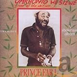  Umkhonto We Sizwe (Spear of The Nation) [Import]
