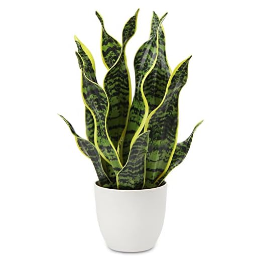 Plantas Artificiales de Serpiente de 42 cm, Plantas Artificiales de Sansevieria para Interiores en macetas, Plantas de Interior de imitación para decoración del hogar