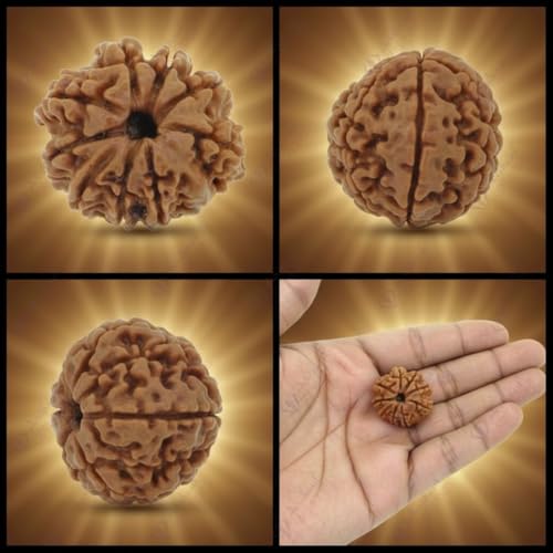 Image of Arihant Gems & Jewels 9 Mukhi Faced Rudraksha | Natural & Certified | Astrological Benefits | Positive Energy | Unisex for Men & Women (Nepali Rudraksha)