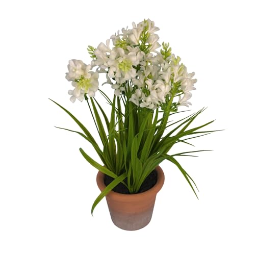 G.blümt Künstliche Frühlingsblume im Topf groß, Forsythie Kunstpflanze Außen & Innen wie echt, Kunstblumen Gesteck, Osterdeko & Frühlingsdeko (Weiß)