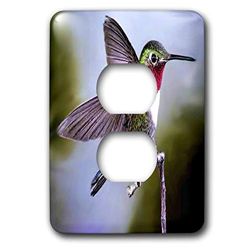 3dRose Hummingbird, Bird 2 plug outlet cover