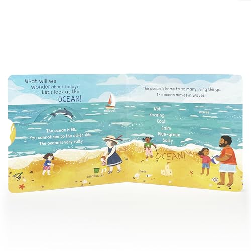 Little Wonders Ocean – vue 6