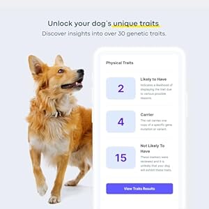 Basepaws Dog DNA Testing Kit 300 Breeds 280 Health Risks and 30 Traits Comprehensive Mixed Breed Identification Pet DNA Test kit Canine Genetic Ancestry and Heritage
