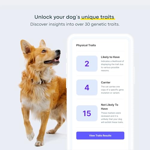 Basepaws-Dog-DNA-Testing-Kit-300-Breeds-280-Health-Risks-and-30-Traits-Comprehensive-Mixed-Breed-Identification-Pet-DNA-Test-kit-Canine-Genetic-Ancestry-and-Heritage Basepaws Dog DNA Testing Kit 300 Breeds 280 Health Risks and 30 Traits Comprehensive Mixed Breed Identification Pet DNA Test kit Canine Genetic Ancestry and Heritage