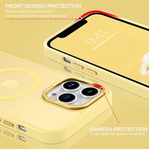 Coque magnétique iPhone 12 Pro Max pour stopper chutes et traces - 2