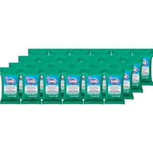 Clorox Disinfecting Wipes On The Go Travel Wipes, Fresh Scent, 9 Count (Package May Vary)