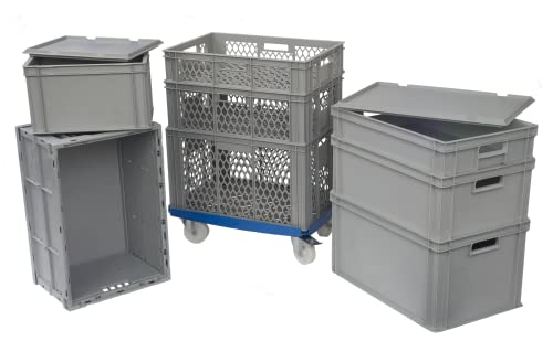 ALUTEC Kunststoffbehälter geschlossen (Inhalt 64 l, Außenmaße (LxBxH) 600 X 400 X 320 mm, stapelbar, lebensmittelecht, kälte- und hitzebeständig von -40° bis +80°C, Aufbewahrungskiste) 75010