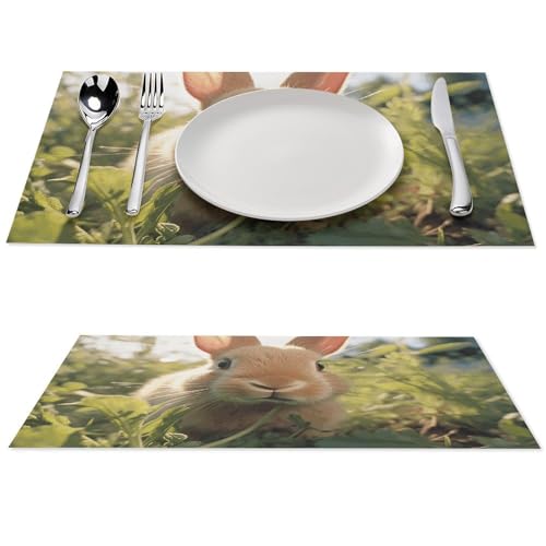 Sets de table PVC lavables de 45,7 x 30,5 cm de cuisine lot de 6