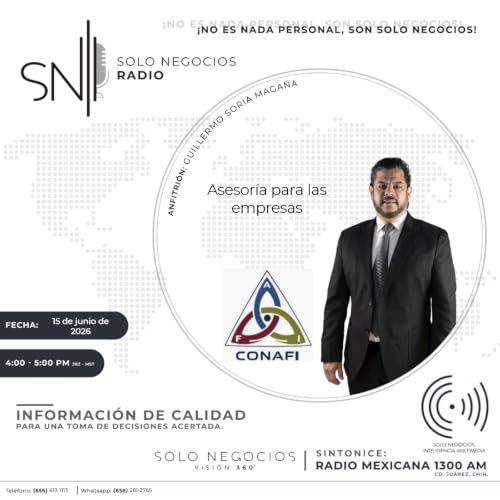 [SNR-15/06/2026] Asesor&iacute;a para las empresas
