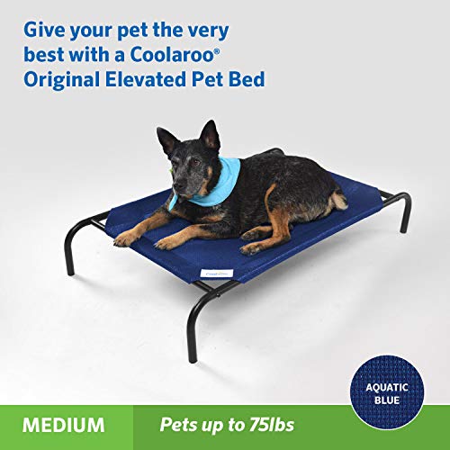 Image of Coolaroo Original Elevated Dog Bed - Breathable Off-The-Ground Pet Bed with Cooling Fabric, Joint Relief & Moisture-Resistant Fabric, 100% Recyclable, Easy Clean, Aquatic Blue, Medium