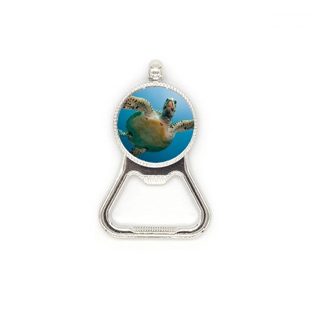 Décapsuleur en acier inoxydable motif tortue d'eau bleu océan pour bouteilles