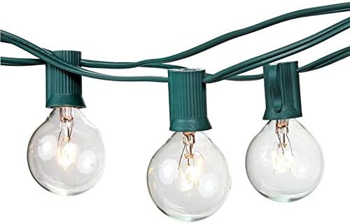 G40 Clear Globe String Light Bulbs with 25 Clear Bulbs Best Outdoor Bistro Lights, Garden Party, Backyard Patio Lighting. (Green)
