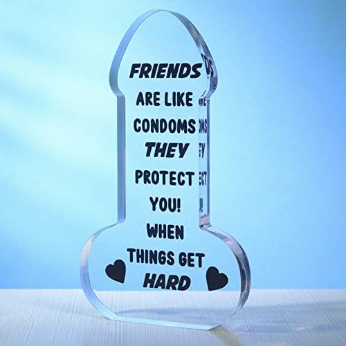 Friend Gifts for Women Funny Birthday Gifts for Women Friendship Unique, Encouragement Plaque Desk Signs Decor Inspirational Gift for Friends Female, Novelty Gifts for Bestie, BFF, Her, Sister