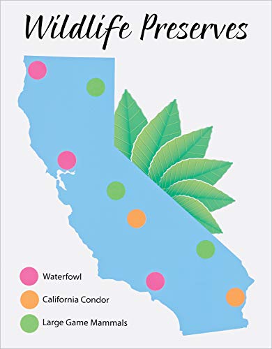 Avery Round Color Coding Labels, 0.75 Inch, Assorted, Removable,Pack Of 315 (6733) #TOP1