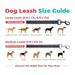 Best Pet Supplies Voyager Reflective Dog Leash or Collar with Neoprene Handle, for Small, Medium, and Large Breed Puppies, Cute and Heavy Duty for Walking, Running and Training - Black (Leash), M - Image 6