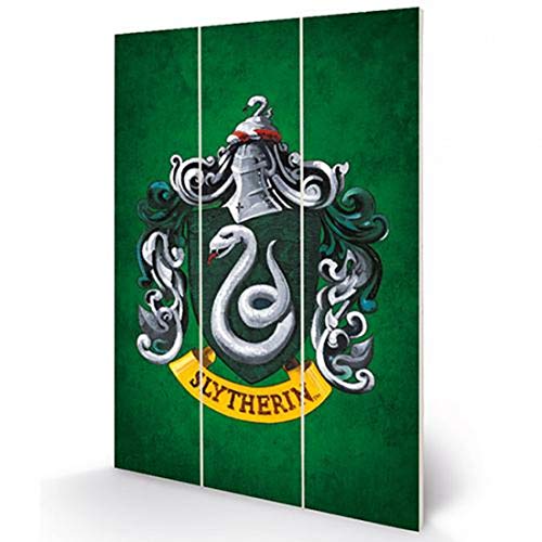 Image of Harry Potter MW12844P Wooden Wall Art, Multicoloured, 20 x 29.5cm
