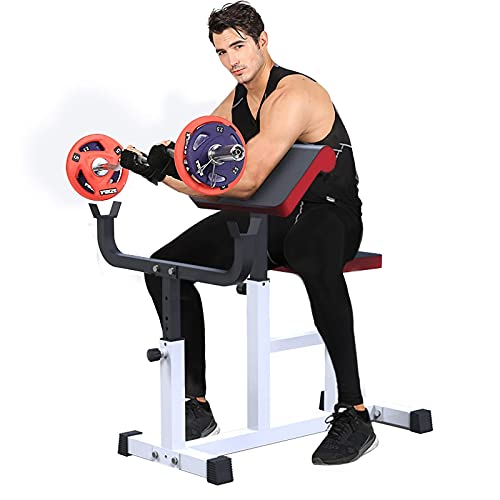 Fitness Equipment Professional sports Heavy Duty Steel Preacher Arm Curl Weight Bench Bench, Roman Chair Back Hyperextension/Hyper Back Extension, Biceps Weightlifting Gym Fitness Equipment B