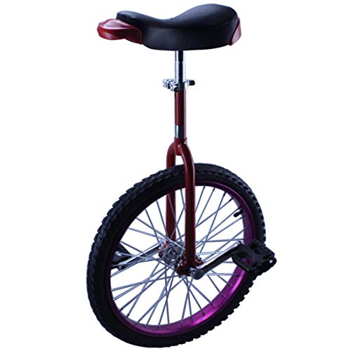 HWF Monociclo Grande 20'/ 24' per Adulti Monociclo per Uomini/Donne/Bambini Grandi, Piccolo 14'/ 16' / 18' Ruota...