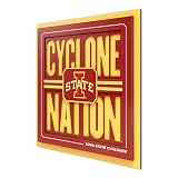 YouTheFan NCAA Iowa State Cyclones Slogan Series 3D Wall Art