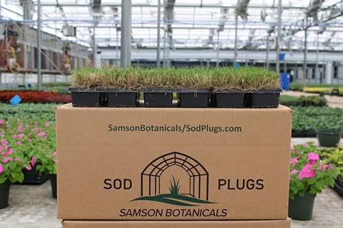 What number fertilizer for lawn