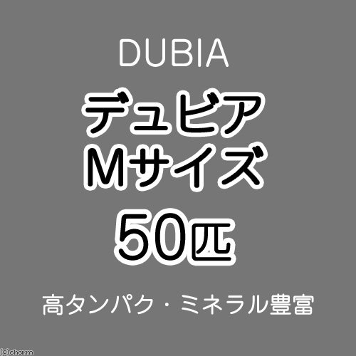 爬虫類・両生類のエサ PS100 PL50 ADM50 ADL50 WEB限定】 PM10