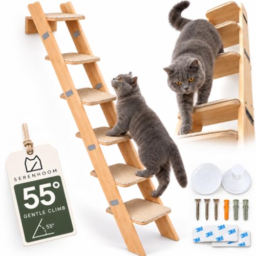 65" 6-Level Cat Stair