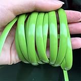 BomDog Material de Tejido de Ratán Sintético, Material de Reparación de Muebles de Mimbre Plano de 6 Mm de Ancho, Material de Tejido de Ratán Sintético, Ratán Tejido de Plástico/Grass Green/32.8 Foo