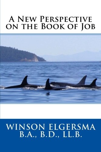 A New Perspective on the Book of Job 1986733580 Book Cover