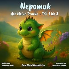 Nepomuk: Der kleine Drache cover art