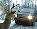 Bell Automotive 22-1-01001-8 Deer Warning Chrome, Helps Recude Accidents, Alert Animals, Easy To Install