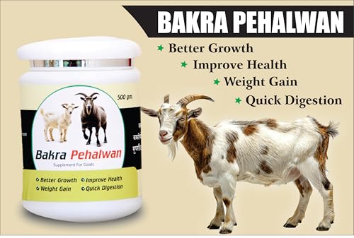 Bakra Pehalwan Premium Supplement for Goats & Sheep – It Helps to Improve Growth, Health & Weight Gain & Support Quick Digestion (1)