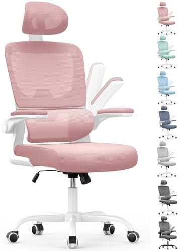 naspaluro Ergonomic Office Chair with Lumbar Support, Back Desk C...